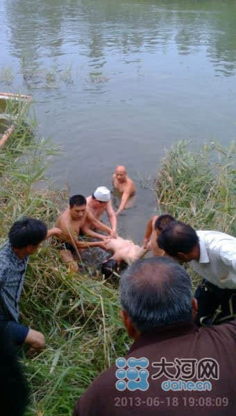 商丘一日发生两起游泳溺水事故 三人死亡（图）