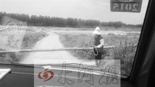 信阳现“山寨收费站” 女子挡道称俺修路俺收钱