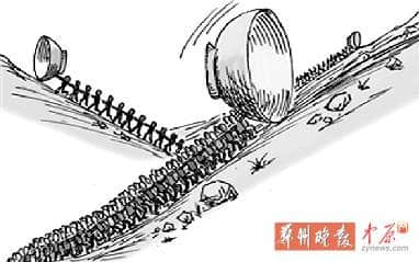 最难就业季男生想出国 女生偏爱内地省会城市