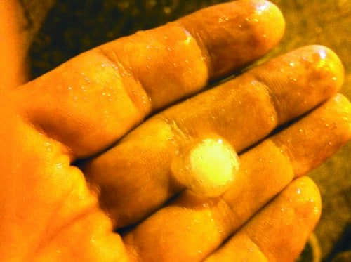 “雨神”萧敬腾前日来郑 绿城昨晚给足面子(图)