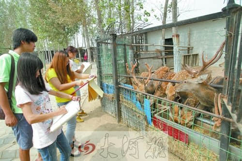 郑州某大学开办“动物园” 养动物供学生写生